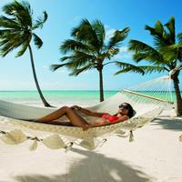 Отзыв от Полина - DTV виза